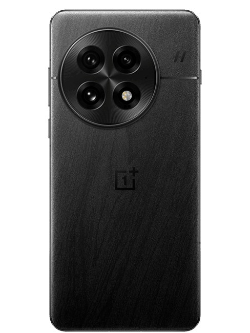 OnePlus 13